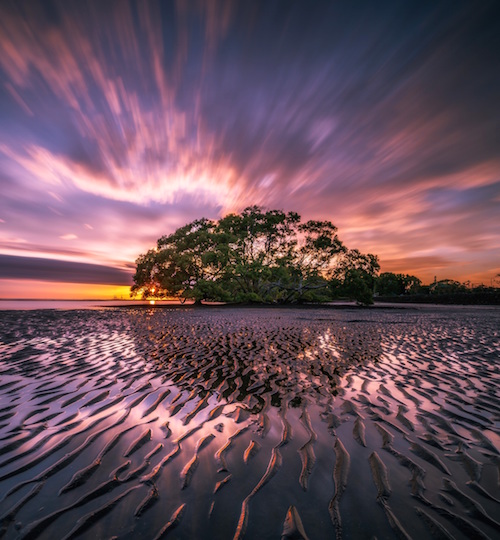 Energy management - Frederick Lenz, Rama